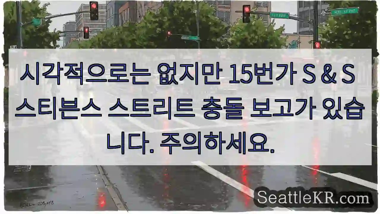 시각적으로는 없지만 15번가 S & S 스티븐스 스트리트 충돌 보고가 있습니다.
