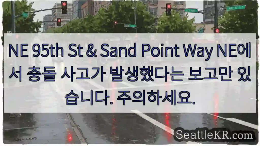 NE 95th St & Sand Point Way NE에서 충돌 사고가 발생했다는 보고만