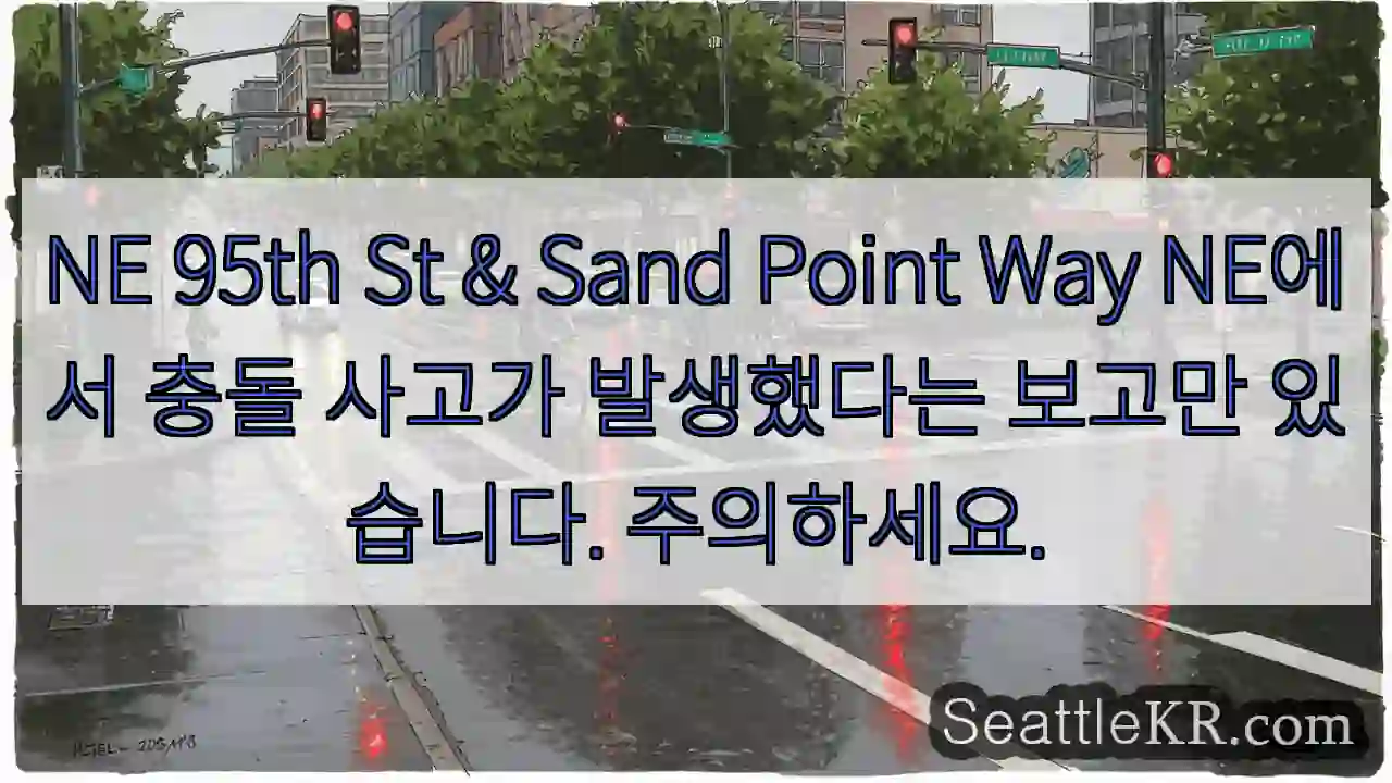 NE 95th St & Sand Point Way NE에서 충돌 사고가 발생했다는 보고만