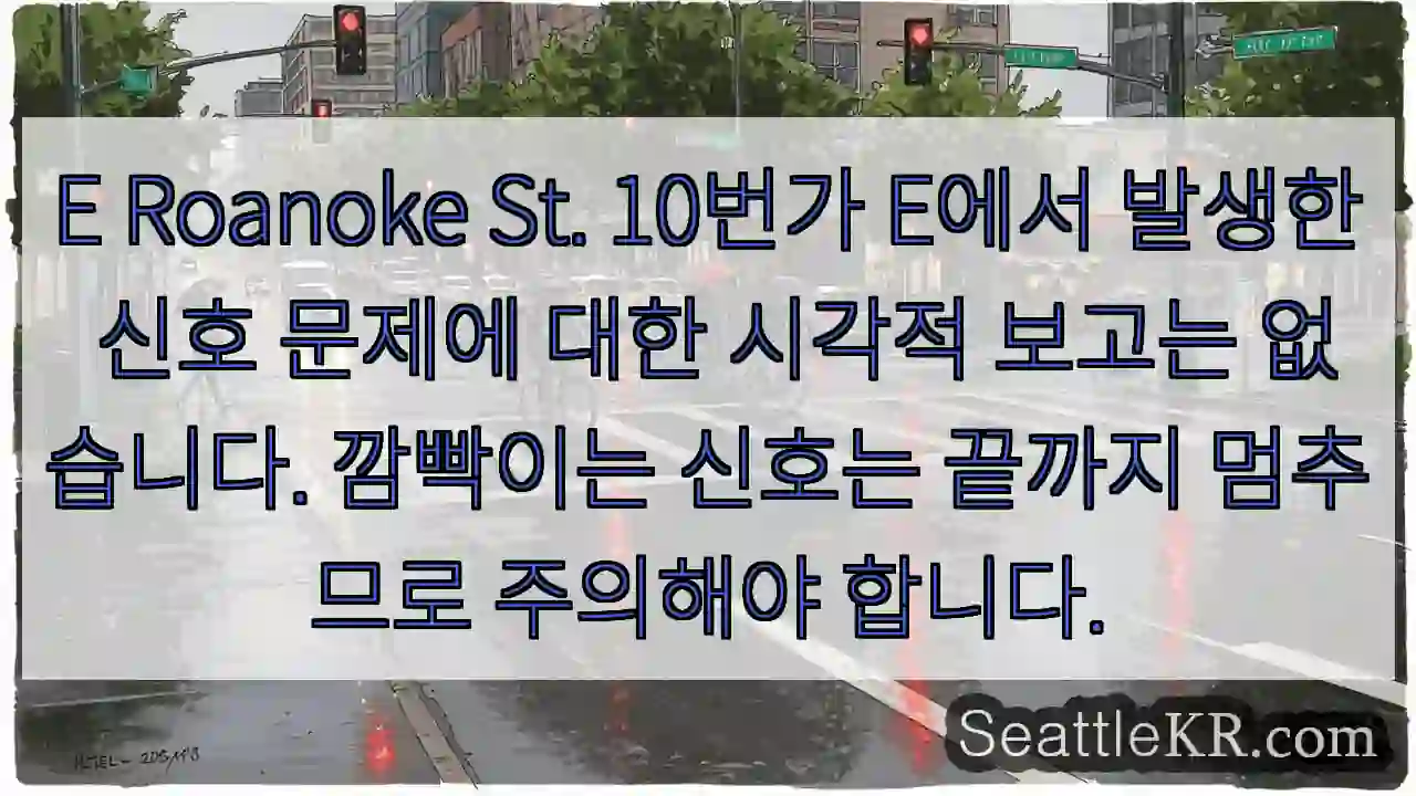 E Roanoke St. 10번가 E에서 발생한 신호 문제에 대한 시각적 보고는