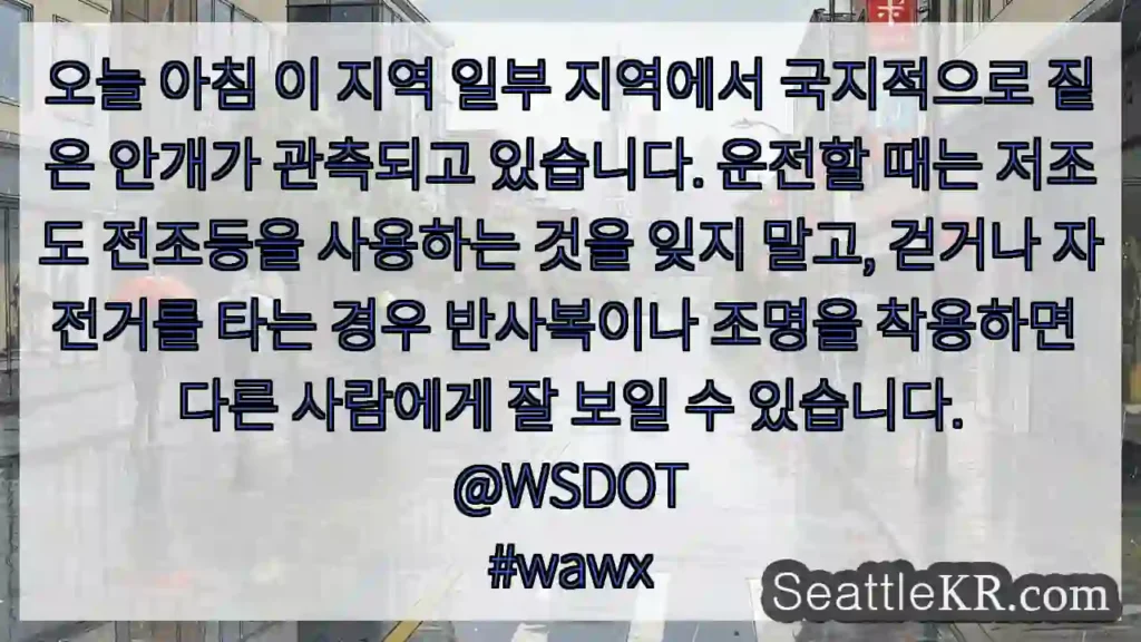 오늘 아침 이 지역 일부 지역에서 국지적으로 짙은 안개가 관측되고 있습니다. 운전할 때는