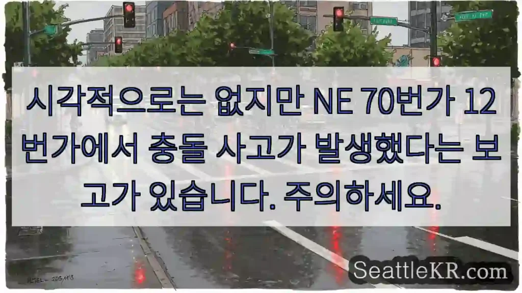 시각적으로는 없지만 NE 70번가 12번가에서 충돌 사고가 발생했다는 보고가 있습니다.