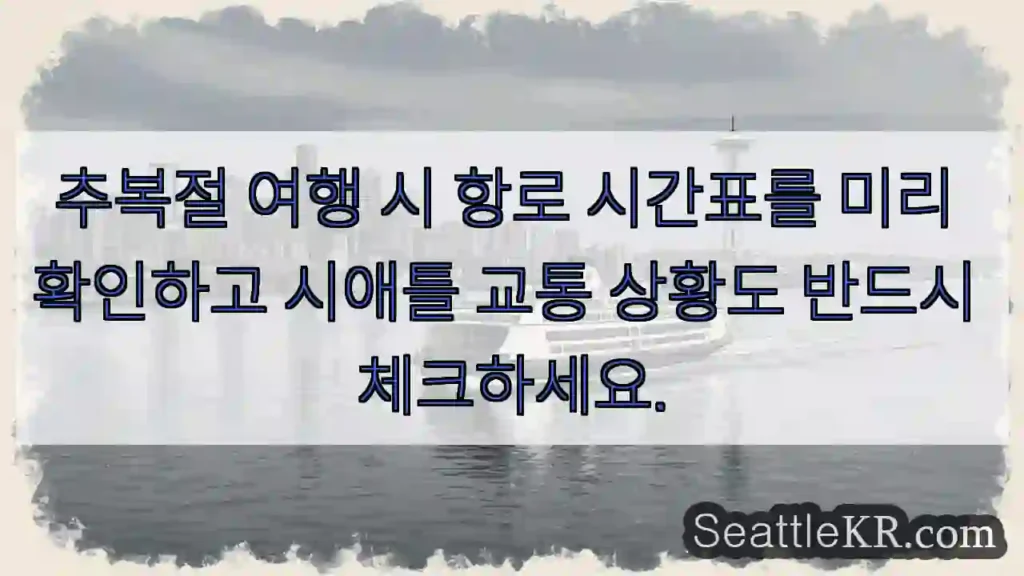 항로 & 교통 확인 필수!