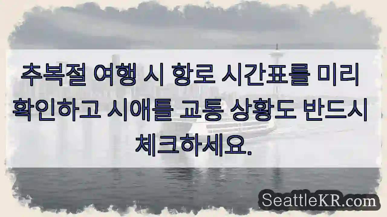 항로 & 교통 확인 필수!