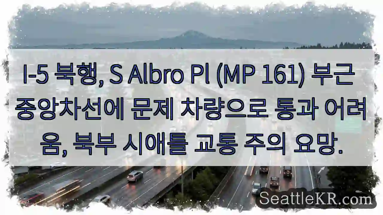 차선 장애물, 북행 주의!