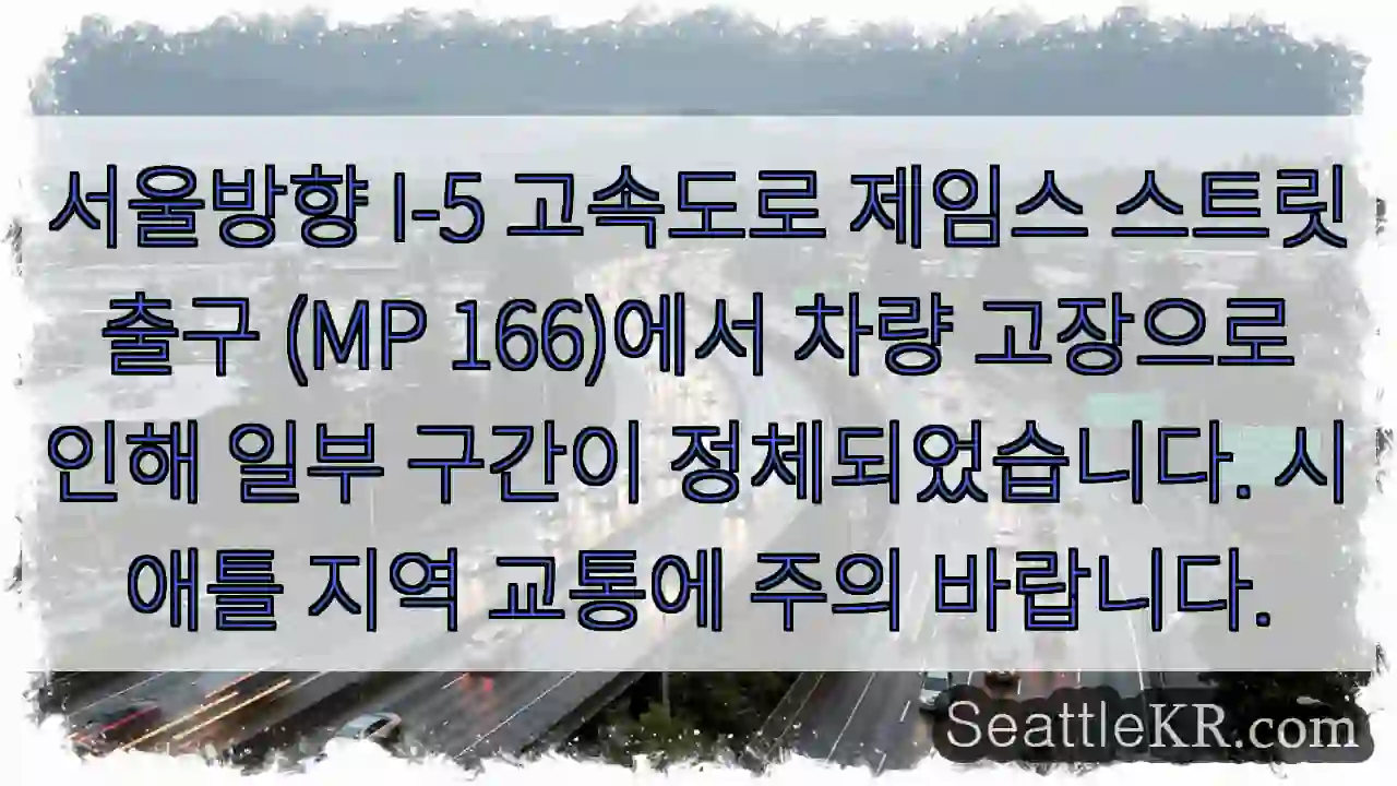 고장 차량 서울방향 I-5 (MP 166) 정체