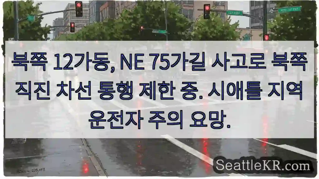 북쪽 12가동 차선 제한!