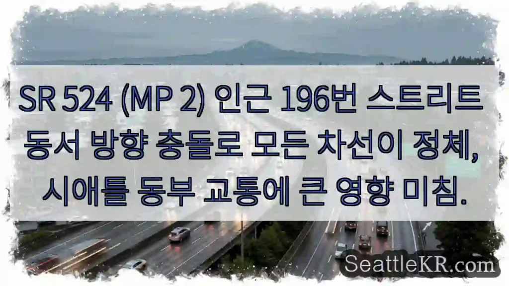충돌! 동서 차선 정체 심각