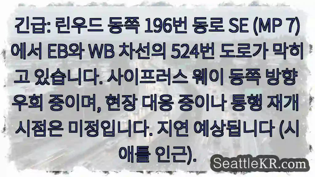 린우드 교통 체증! 우회 중이오.