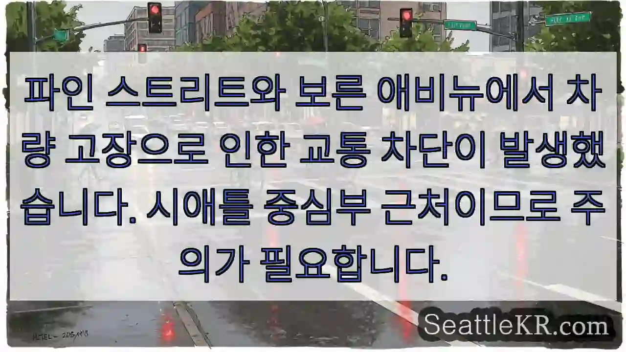 차량 고장, 교통 체증 주의!