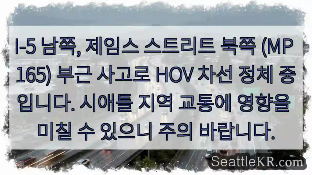 사고! HOV 차선 정체