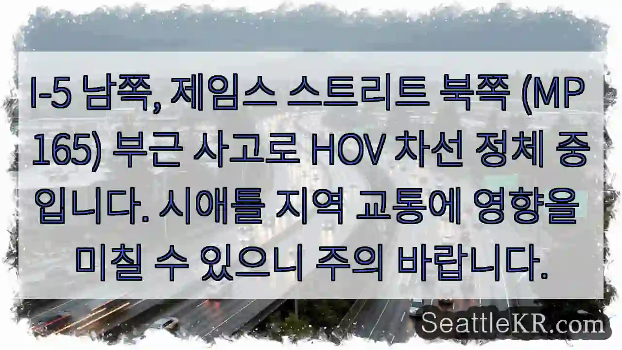 사고! HOV 차선 정체