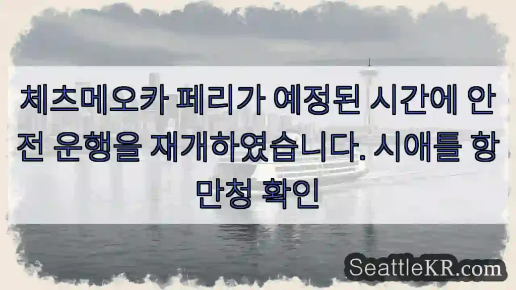 체츠메오카 페리 안전 운행 재개!