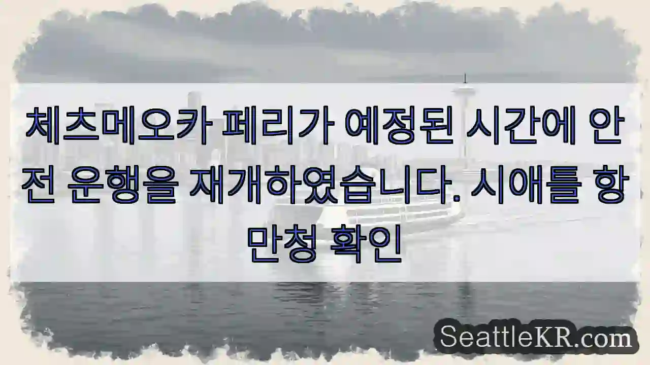 체츠메오카 페리 안전 운행 재개!