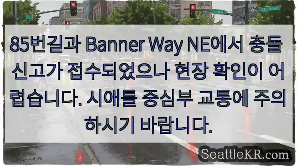 충돌 경보! 85번길 Banner Way NE