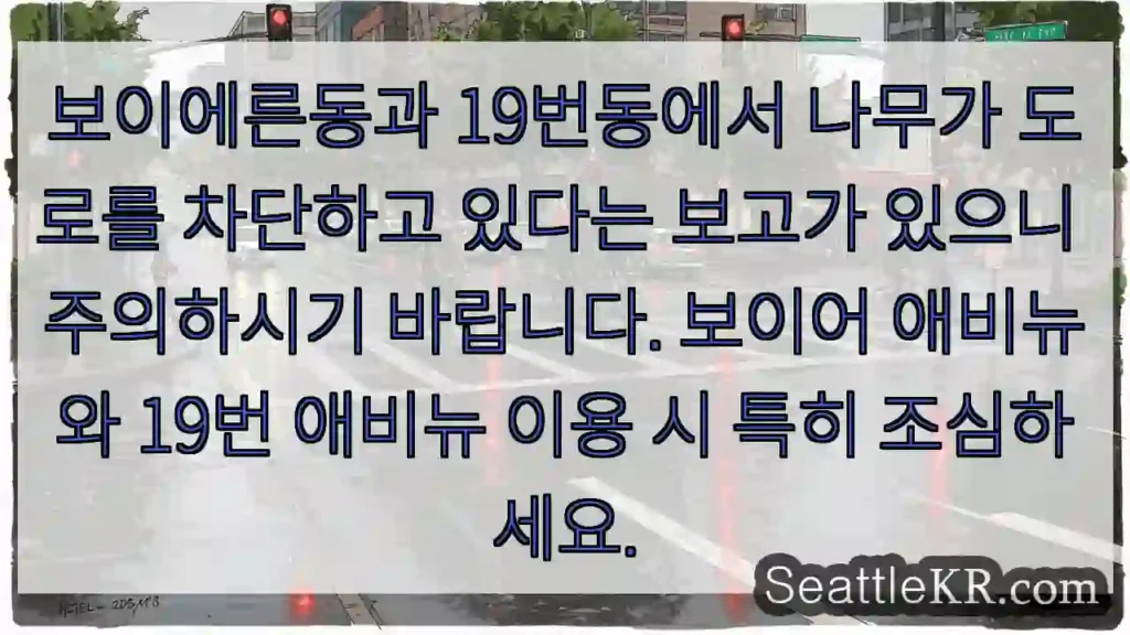 나무 주의! 도로 차단