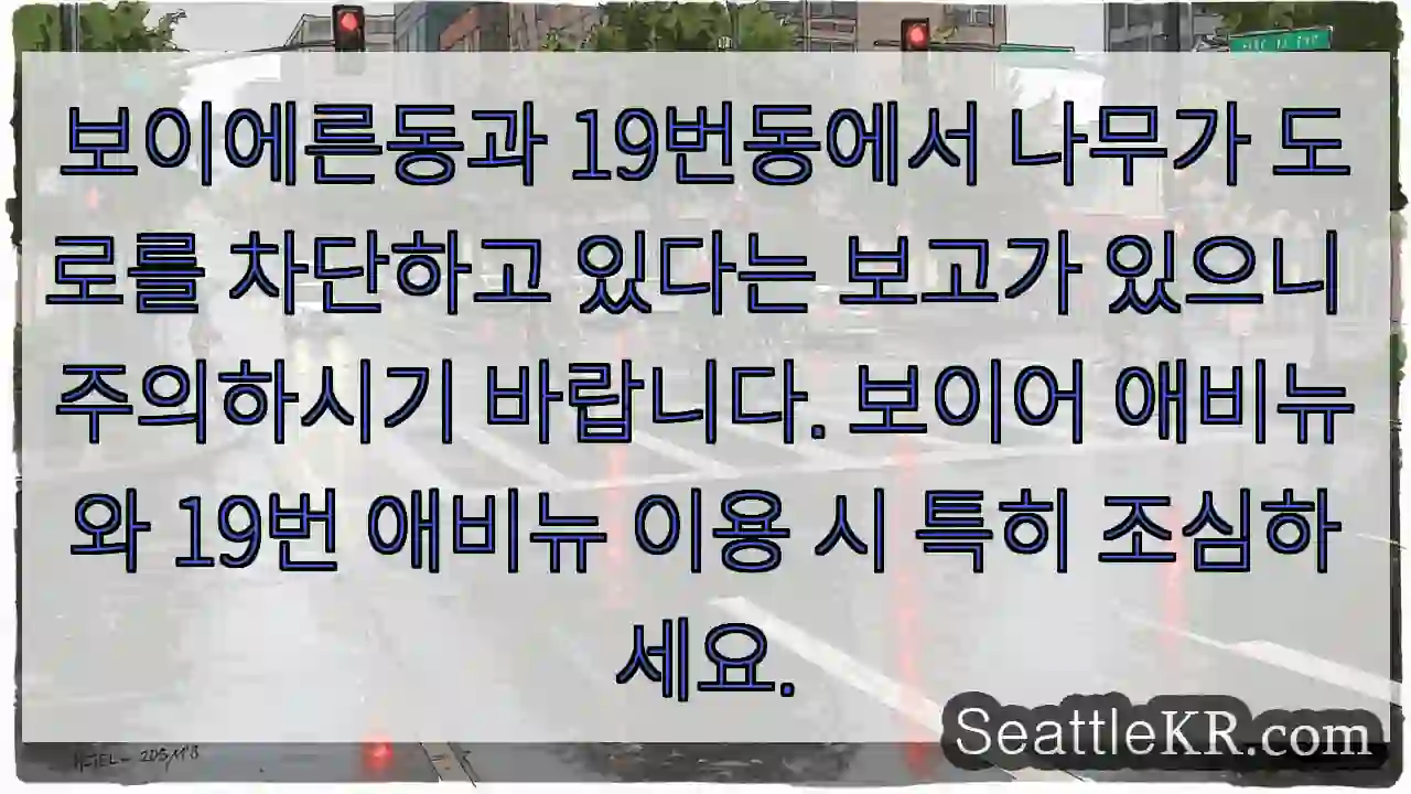 나무 주의! 도로 차단