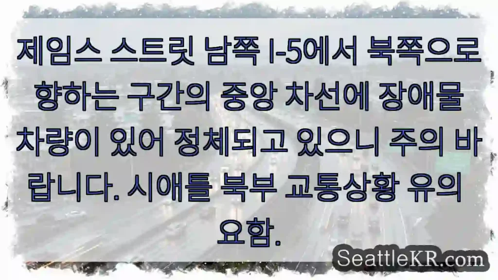 중앙 차선 정체! 주의 필요