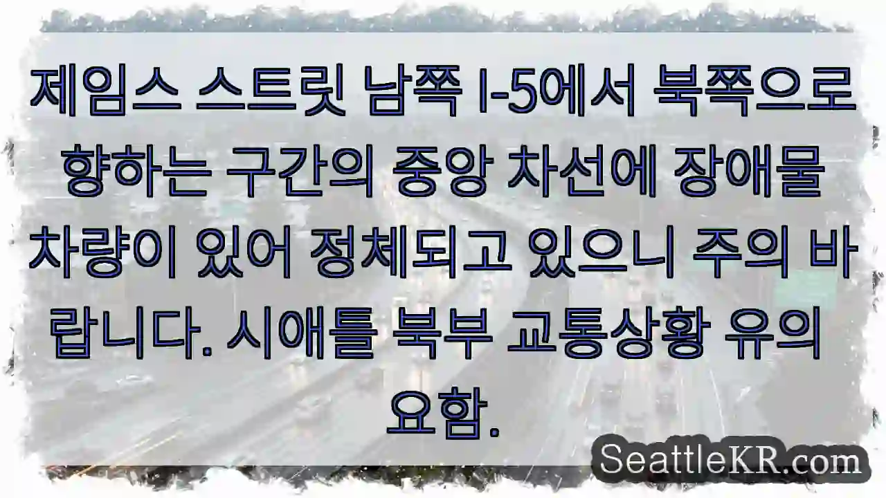 중앙 차선 정체! 주의 필요