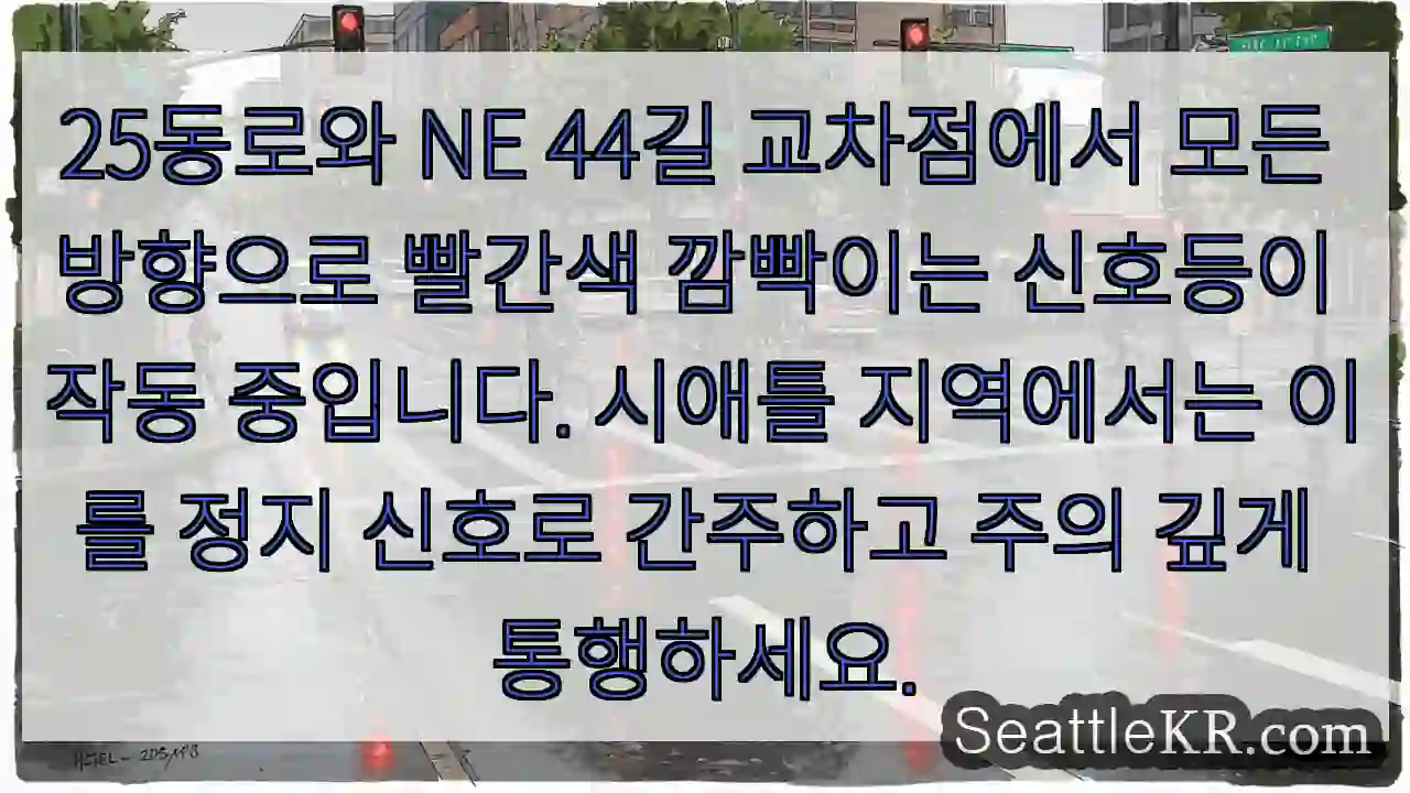 신호등 빨간색! 주의!