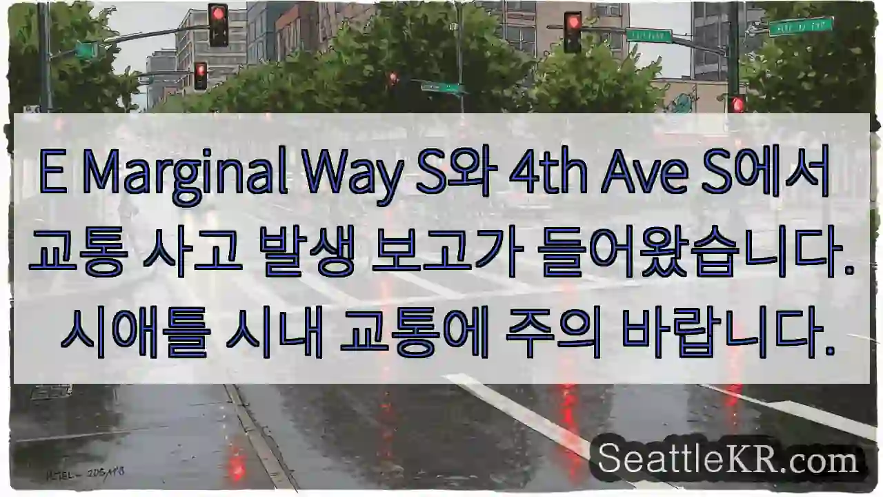 사고! Marginal Way S & 4th Ave S