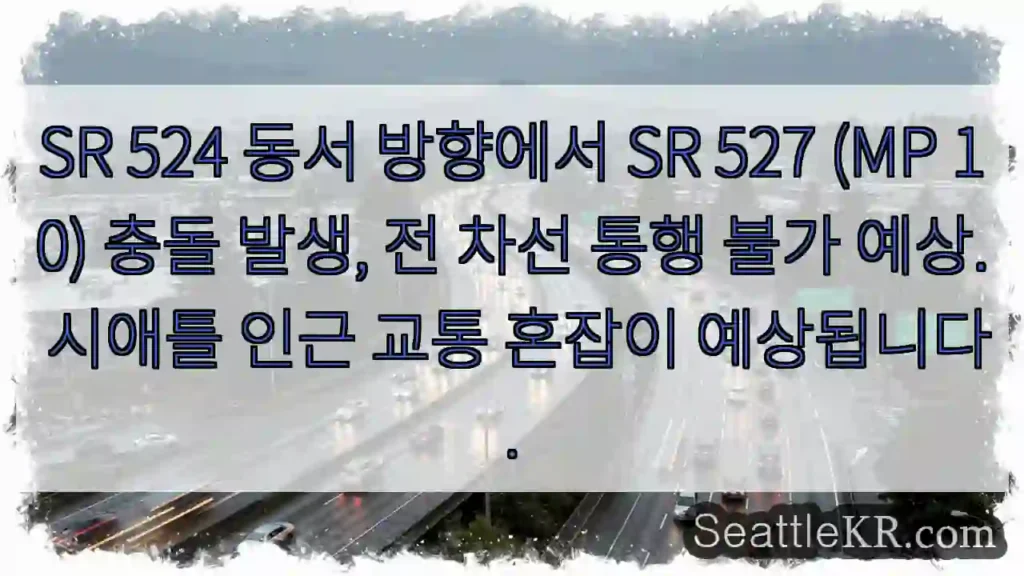 충돌! 전 차선 통행 불가