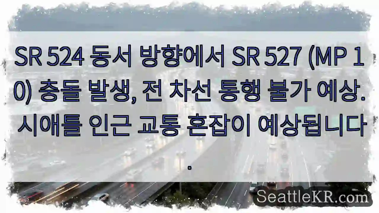 충돌! 전 차선 통행 불가