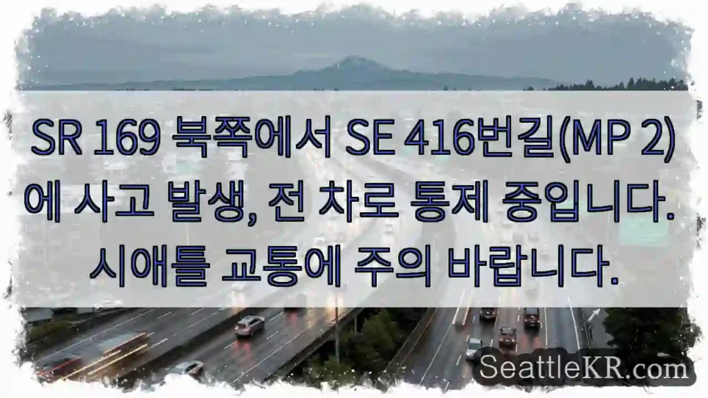 사고! 전 차로 통제 중