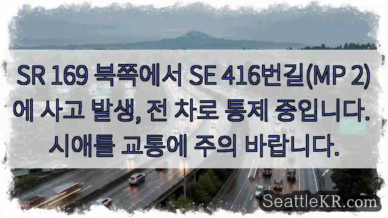 사고! 전 차로 통제 중