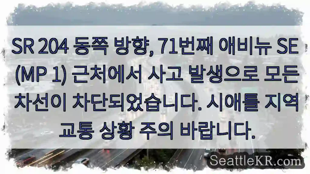 사고! SR 204 차단