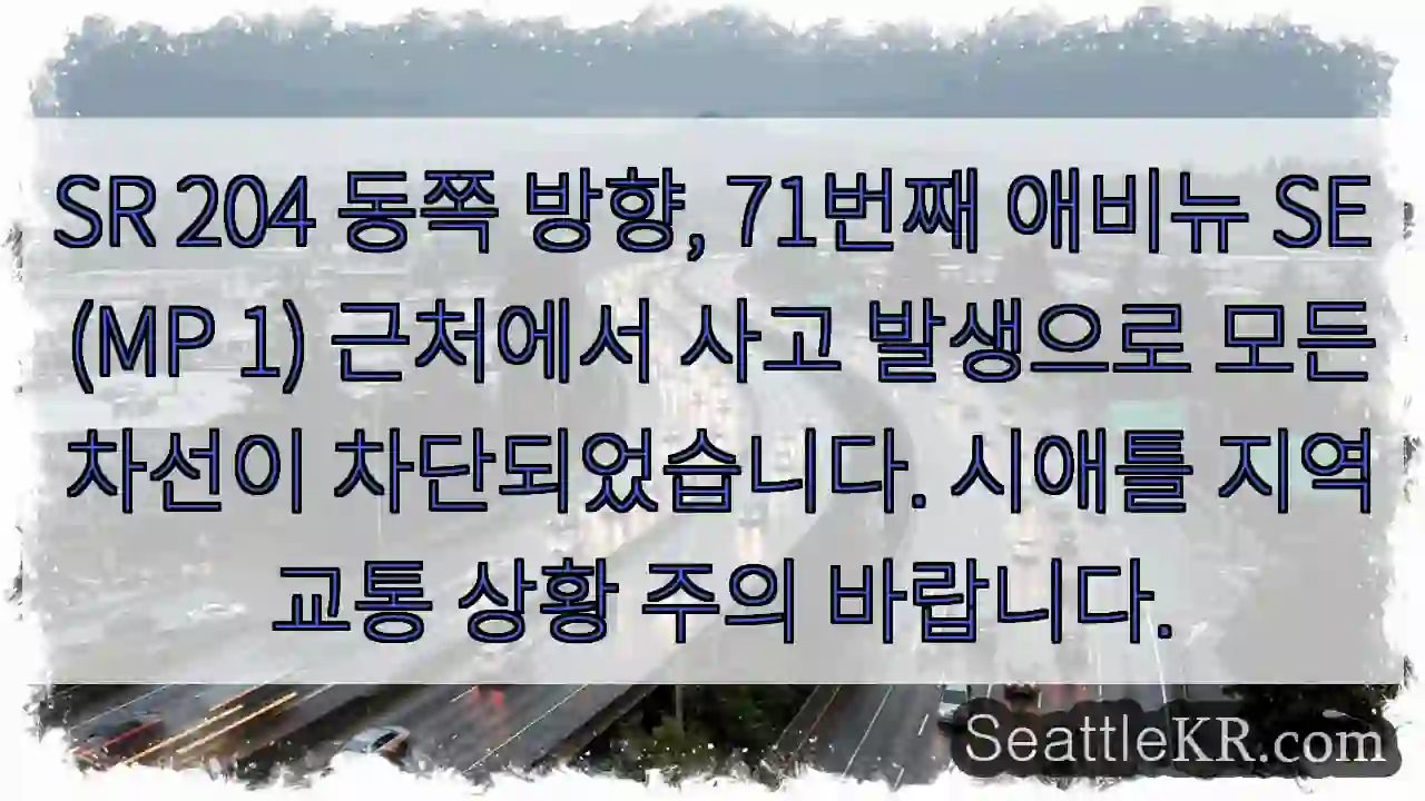 사고! SR 204 차단