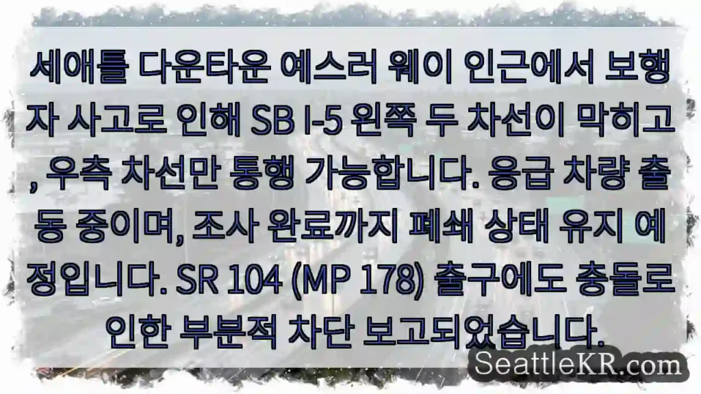 사고 구간, 왼쪽 차선 통행 불가