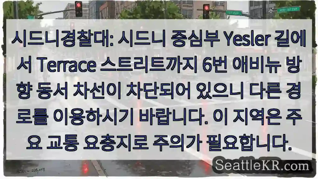 6번 애비뉴 차단! 우회하세요