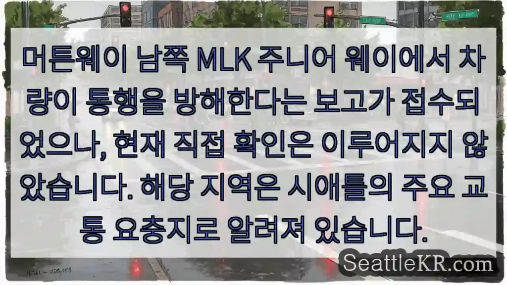 차량 통행 방해! 확인 중