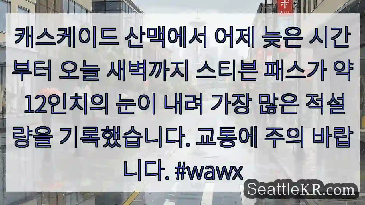 눈 많이 내림 주의!