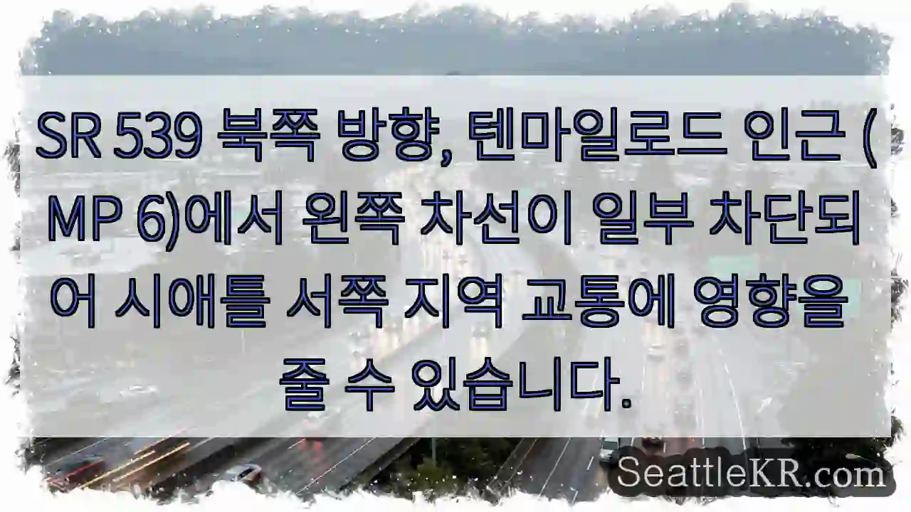 좌선 부분 통행 제한!