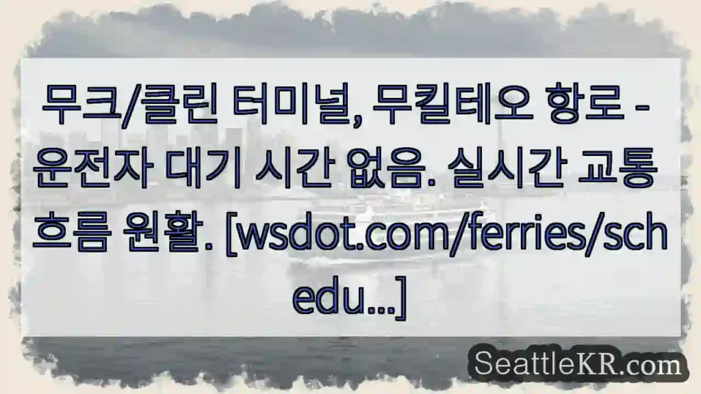 실시간 무킬테오, 대기 없음