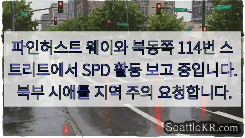 파인허스트웨이 SPD 보고