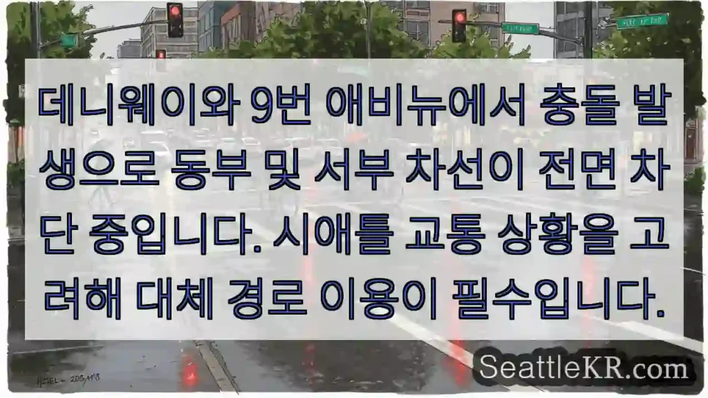 데니웨이 9번 충돌! 차선 차단