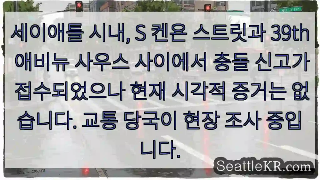 사고 현장 조사 중