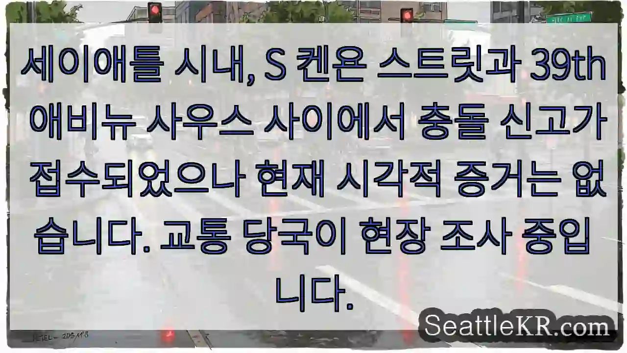 사고 현장 조사 중