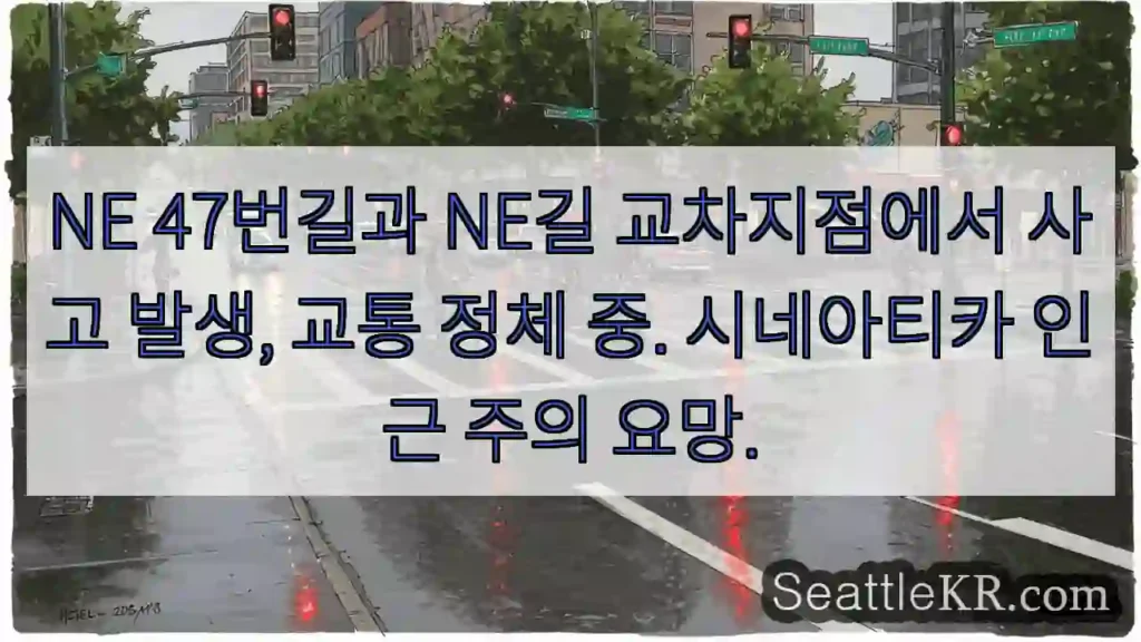 사고! NE47번길 교차지점 정체