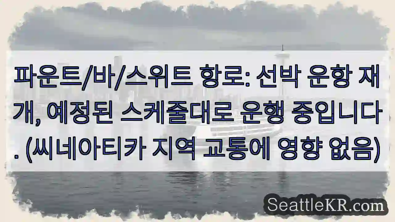 운항 재개! 예정대로 운항 중