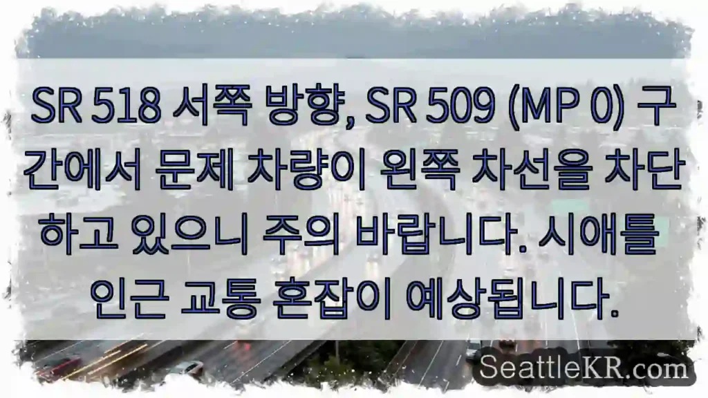주의: 왼쪽 차선 차단 차량