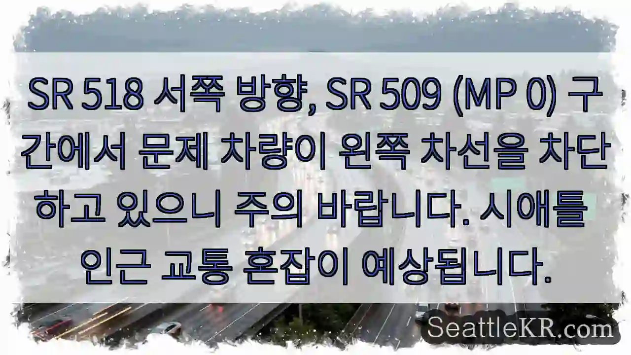 주의: 왼쪽 차선 차단 차량