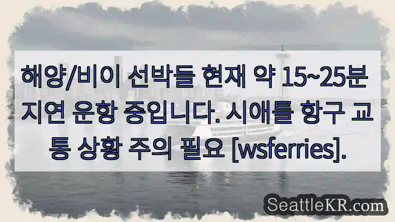 지연 운항 중! 15~25분