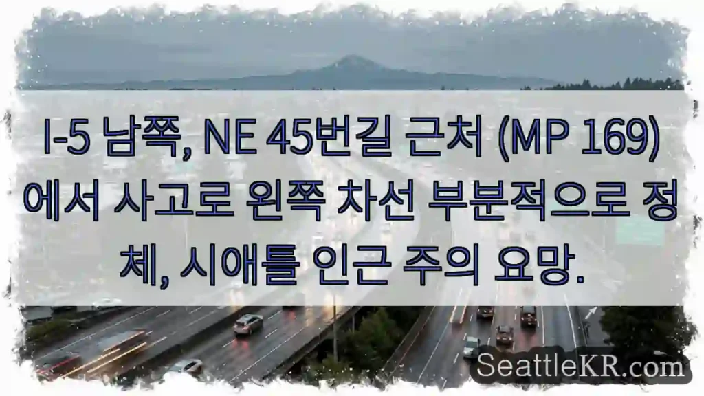 사고! 왼쪽 차선 정체 주의