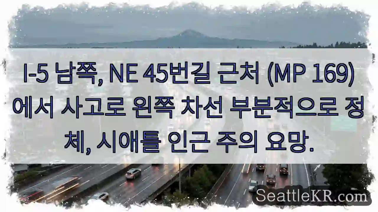 사고! 왼쪽 차선 정체 주의