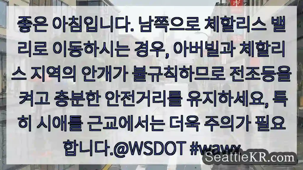 안개 주의! 전조등 켜고 안전거리 유지