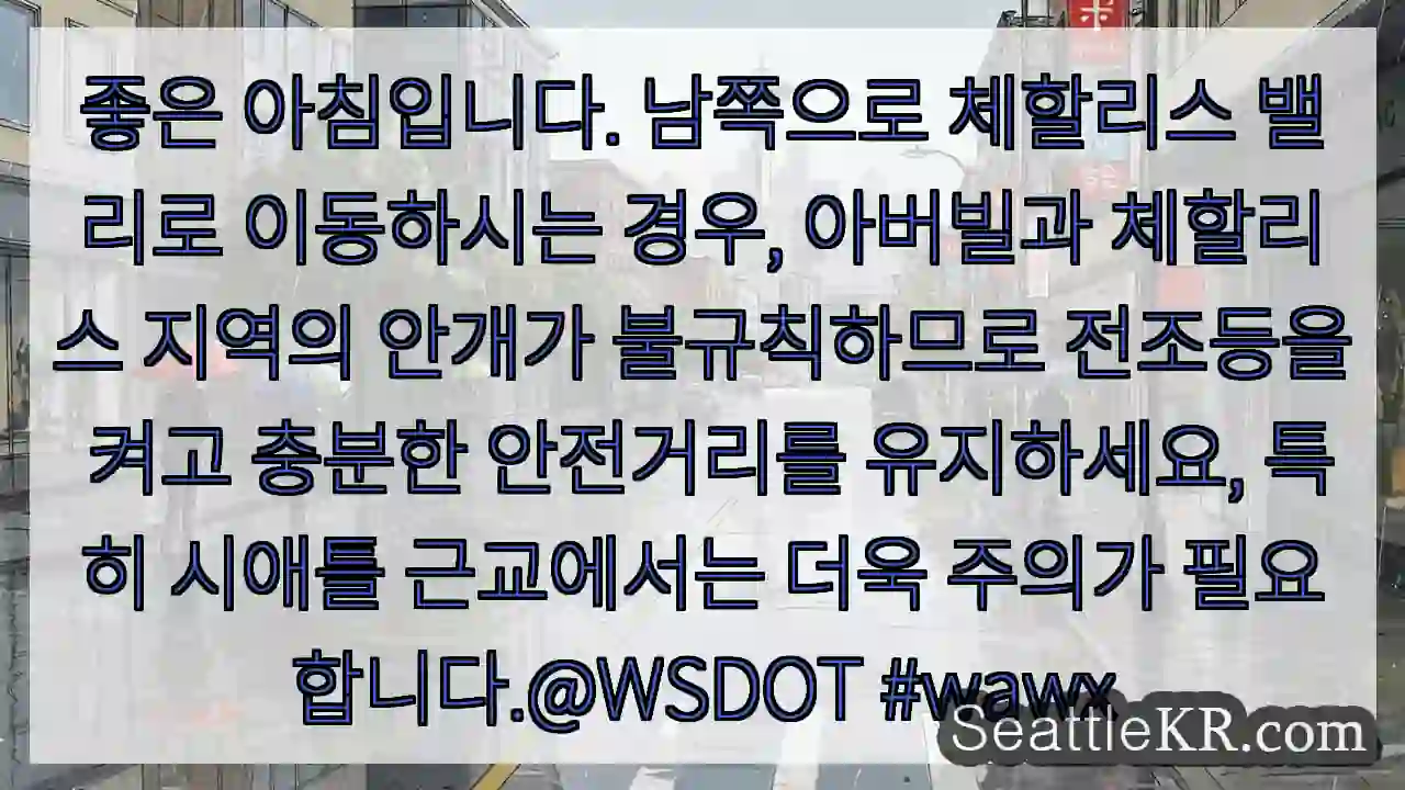 안개 주의! 전조등 켜고 안전거리 유지